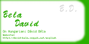 bela david business card