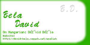 bela david business card